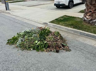 Cleanups by octavio ascencio for Pedro Y. in San Jose, CA