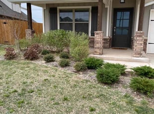 Bush Trimming by Pete Peterson for Bobby B. in Yukon, OK