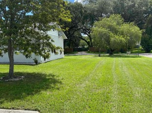 Sonja M.'s Lawn Care service result