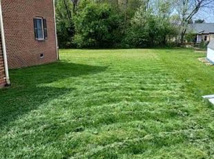 Steven C.'s Lawn Care service result