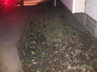 Leaf Removal by KC Brown for Vanese R. in Omaha, NE