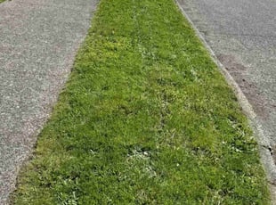 Brenda I.'s Lawn Service service result