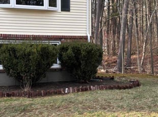 Leaf Removal by Helder Ramos for Rashad E. in Foxborough, MA