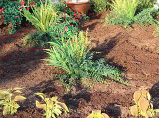 Mulching by Abigial Klar for Jaimee G. in Maple Grove, MN