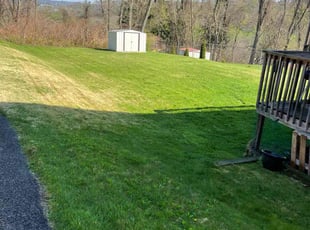 Pamela W.'s Lawn Service service result
