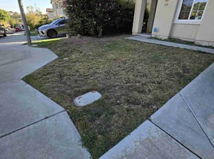 Kerry O.'s Lawn Mowing service result