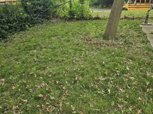 Cleanups by Kevin Philips for Maya L. in Cincinnati, OH