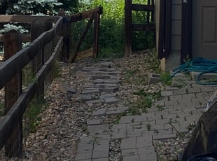 Weeding by Sebastian Heinrich for Dale E. in Aurora, CO