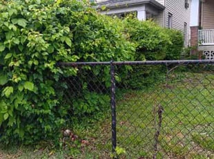Bush Trimming by Edward Wilder for Tudo P. in Washington, DC