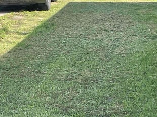 Lucien V.'s Lawn Mowing service result