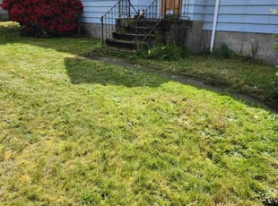 Cleanups by Conway Samuels for Kjrstin R. in Seattle, WA