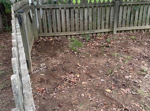 Zac C.'s Leaf Removal service result