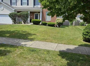 Steve A.'s Lawn Care service result