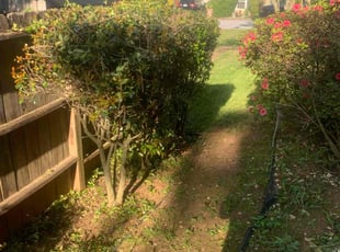 Bush Trimming by Brandon Cummings for Michaela W. in Lithonia, GA