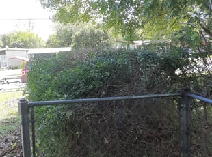 Cleanups by Danny Shipman for Janora A. in San Antonio, TX