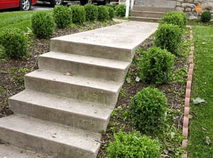 Bush Trimming by Christopher Johnson for Desarae H. in Kansas City, MO