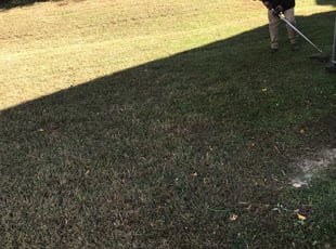 Leaf Removal by Davon Lightfoot for Samara W. in Glen Allen, VA