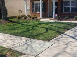 Adrian R.'s Lawn Mowing service result