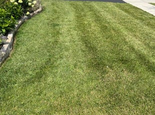 Josh D.'s Lawn Maintenance service result