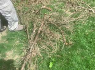 Cleanups by Ramon Jones for Stuart R. in Worthington, OH
