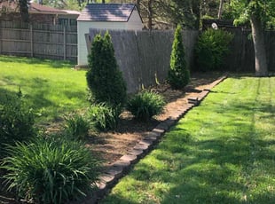 Patty M.'s Yard Cutting service result
