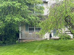 FELISHA P.'s Grass Cutting service result