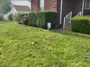 Bush Trimming by Charles Gressmire for Dale G. in Portland, TN