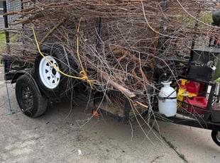 Leaf Removal by Luis Calderon for Rhonda R. in Joliet, IL