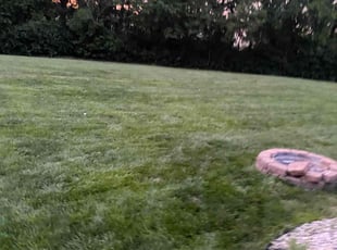 Bush Trimming by Justin Bradshaw for Jordan S. in Fishers, IN