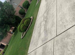 Zane A.'s Lawn Mowing service result