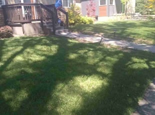 Pat D.'s Lawn Service service result