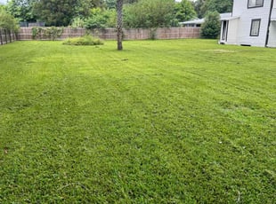Regan F.'s Lawn Mowing service result