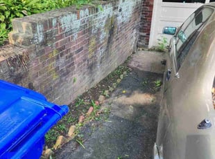 Bush Trimming by Samuel Foster for Brendan s. in Arlington, VA