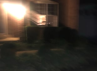 Bush Trimming by Kevin Davenport for Sarah M. in Leesburg, VA