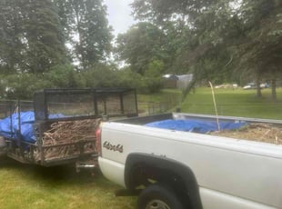 KISHA C.'s Bush Trimming service result