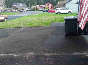 Cleanups by Chester Sikorski for O. Michael M. in Graham, WA