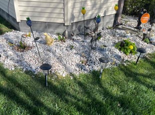 Weeding by Derek Walker for Vincent L. in Virginia Beach, VA