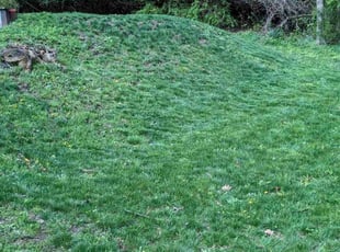 Cleanups by Christopher gall for Nancy P. in Syracuse, NY