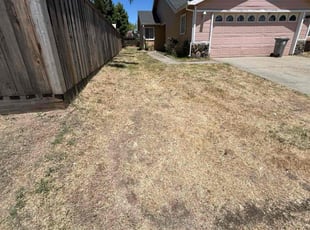 Cleanups by Gabriel Aldrete for Deep K. in Sacramento, CA