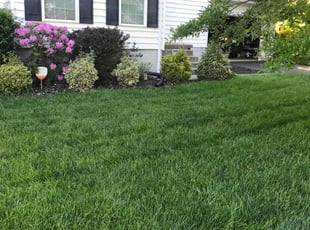 Charles E.'s Lawn Mowing Service service result