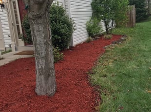 Kathy M.'s Mulching service result