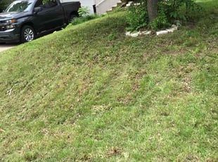 Bush Trimming by Wesley Berry for Michael P. in Kansas City, MO