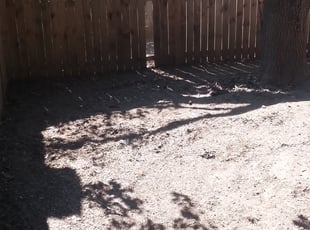 Cleanups by Edward Rodriguez for Anthony K. in Keller, TX