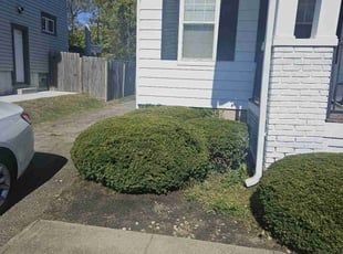 Bush Trimming by Nicholas Weber for Katrina J. in Cincinnati, OH