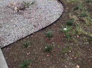 Leaf Removal by Jeronimo Barrientos for Kelly M. in Austin, TX