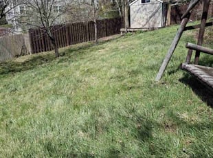Leaf Removal by Andres Aguilar for Omar B. in Streamwood, IL