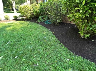 Benjamin P.'s Mulching service result