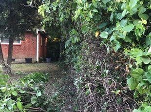 Bush Trimming by Warren Lawson 3rd for Cheryl F. in Nashville, TN