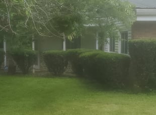 Bush Trimming by Stephen Sheldon for Maria B. in Cincinnati, OH