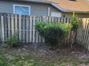 Bush Trimming by Christopher Harper for Yuri S. in Gainesville, FL